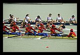 IMG_4138.jpg