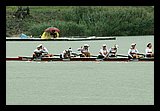 IMG_4153.jpg
