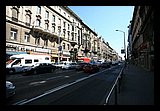 IMG_1351.jpg