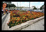 IMG_1362.jpg