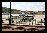 IMG_1371.jpg