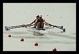 IMG_7718.jpg