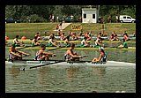 IMG_7793.jpg
