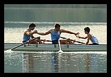 IMG_977.jpg
