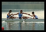 IMG_978.jpg
