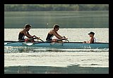 IMG_984.jpg