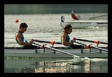 IMG_986.jpg