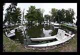 IMG_0889.jpg