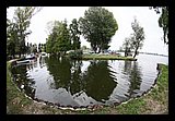 IMG_0903.jpg