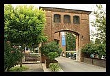IMG_0911_1.jpg