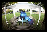 IMG_0912.jpg