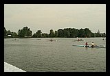 IMG_0915_1.jpg