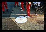 IMG_0963.jpg