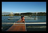IMG_0982.jpg