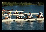 IMG_0989.jpg