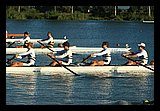 IMG_0995.jpg