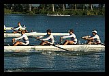 IMG_0999.jpg