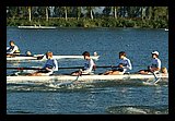 IMG_1001.jpg