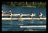 IMG_1002.jpg
