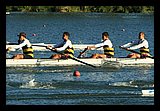 IMG_1004.jpg