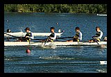 IMG_1005.jpg