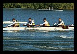 IMG_1006.jpg