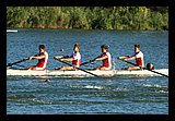 IMG_1011.jpg