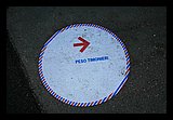 IMG_0879.jpg