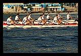 IMG_3038.jpg
