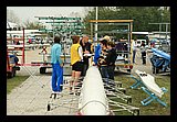 IMG_5894.jpg