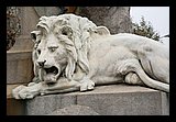 IMG_0076.jpg