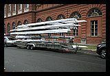 IMG_0081.jpg