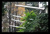 IMG_0135.jpg