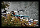 IMG_0161.jpg