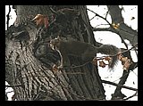 IMG_0176.jpg