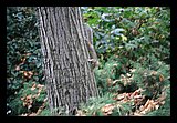 IMG_0183.jpg