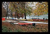 IMG_0198.jpg
