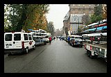 IMG_2203.jpg