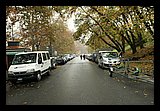 IMG_2209.jpg