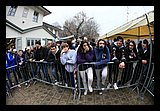 IMG_3534.jpg