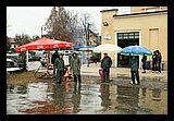 IMG_6055.jpg