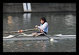 IMG_0333.jpg