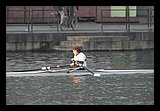 IMG_0341.jpg