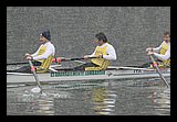 IMG_0390.jpg