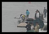 IMG_0420.jpg