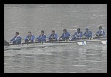 IMG_0436.jpg