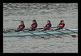 IMG_1801.jpg