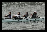 IMG_1817.jpg