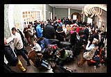IMG_0047.jpg