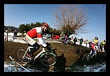 IMG_9658.JPG